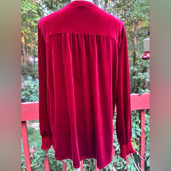 Wonderly Women's Velvet Velour Top
Long Sleeves Festive Large - Picture 2 of 5
